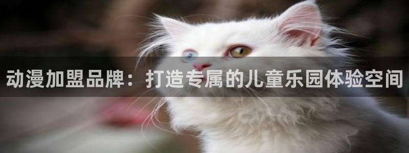 日本动漫火狼动漫网：动漫加盟品牌：打造专属的儿童乐园体验空间