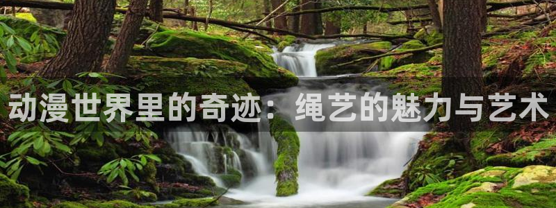 火狼动漫官网：动漫世界里的奇迹：绳艺的魅力与艺术