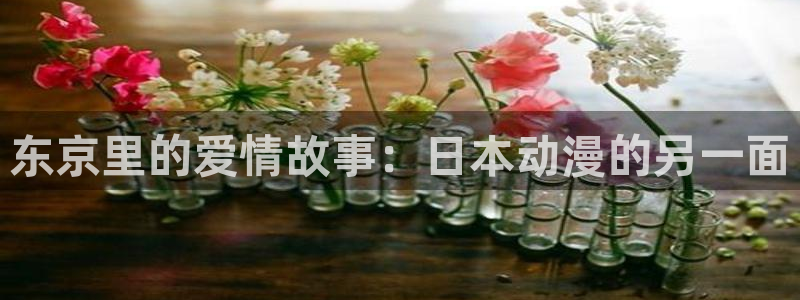 火狼动漫网观看在线