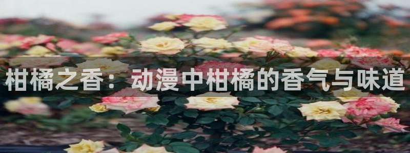 《千鹤的开发日记》火狼动漫：柑橘之香：动漫中柑橘的香气与味道