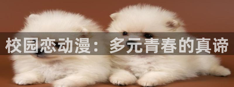 ova火狼动漫网：校园恋动漫：多元青春的真谛