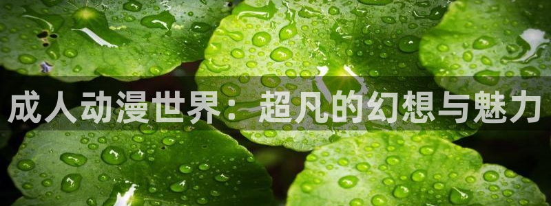 日本动漫火狼动漫网