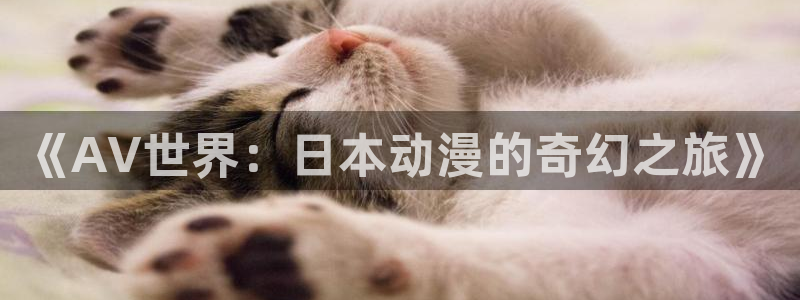 火狼动漫免费观看