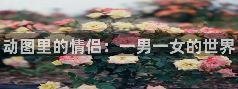 火狼动漫网免费入口在线观看：动图里的情侣：一男一女的世界