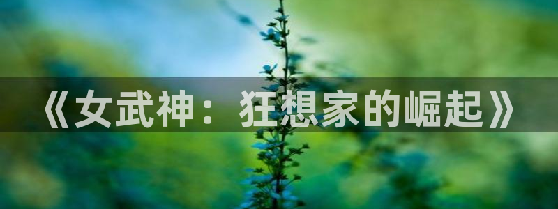 火狼动漫在线观看动漫：《女武神：狂想家的崛起》