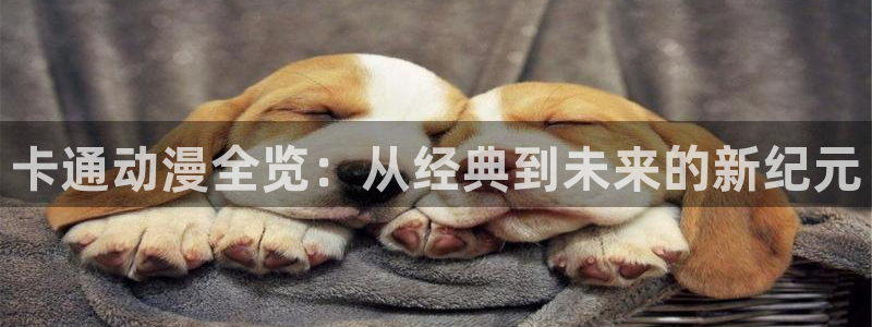 火狼动漫免费观看：卡通动漫全览：从经典到未来的新纪元